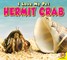 Hermit Crab
