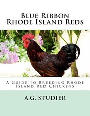 Blue Ribbon Rhode Island Reds