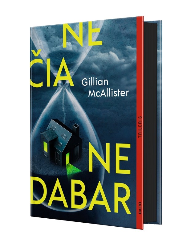 Ne čia, ne dabar | Knygos.lt