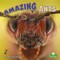 Amazing Ants