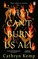 They Can't Burn Us All