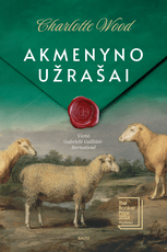 Akmenyno užrašai (knyga su defektais)