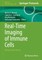 Real-Time Imaging of Immune Cells