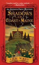 Shadows on the Coast of Maine