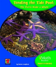 Tending the Tide Pool