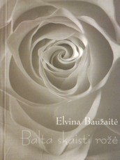 Balta skaisti rožė