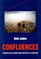 Confluences: Studies in the Theory and Practice of Literature