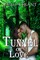 Tunnel of Love