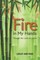 Fire in My Hands