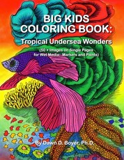 Big Kids Coloring Book
