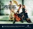 Englisch lernen mit The Grooves