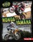 Honda vs. Yamaha