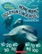 How Many Dolphins in a Pod? (Nature Numbers)