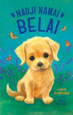 Nauji namai Belai Nauji namai Belai