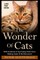 The Wonder Of Cats Large Print Edition