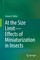 At the Size Limit - Effects of Miniaturization in Insects