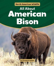 All about American Bison