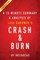 Summary of Crash & Burn