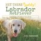 Hey There Buddy! | Labrador Retriever Kids Books | Children's Dog Books