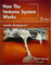 How the Immune System Works