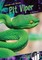 Pit Viper