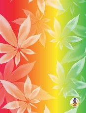 Stoner Coloring Book for Adults (8x10 Hardcover Coloring Book / Activity Book)