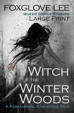 The Witch of the Winter Woods