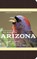 American Birding Association Field Guide to Birds of Arizona
