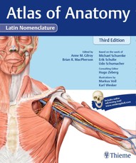Atlas of Anatomy, 3e Latin