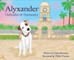 Alyxander - Defender of Humanity
