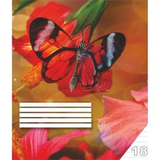 Sąsiuvinis linijomis, 18 l.