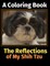 The Reflections of My Shih Tzu