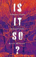 Is It So? Glimpses, Glyphs, & Found Novels
