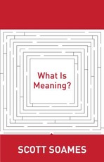 What Is Meaning?