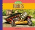Turtles