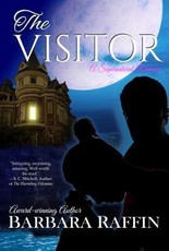 The Visitor