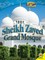Sheikh Zayed Grand Mosque