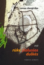 Rūke įšalusios dulkės