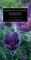 Mabberley's Plant-book