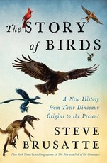 The Story of Birds