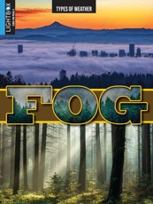 Fog
