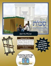 Bar/Bat Mitzvah Survival Guides