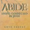 Abide