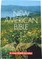 Saint Joseph Medium Size Bible-NABRE