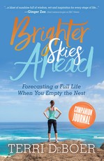 Brighter Skies Ahead Companion Journal