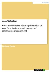 Costs and benefits of the optimisation of data flow in theory and practice of information management