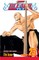 Bleach, Vol. 23