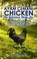 Ayam Cemani Chicken - The Indonesian Black Hen. A complete owner's guide to this rare pure black chicken breed. Covering History, Buying, Housing, Feeding, Health, Breeding & Showing.