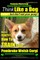 Pembroke Welsh Corgi, Pembroke Welsh Corgi Training AAA AKC