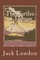 The Turtles of Tasman